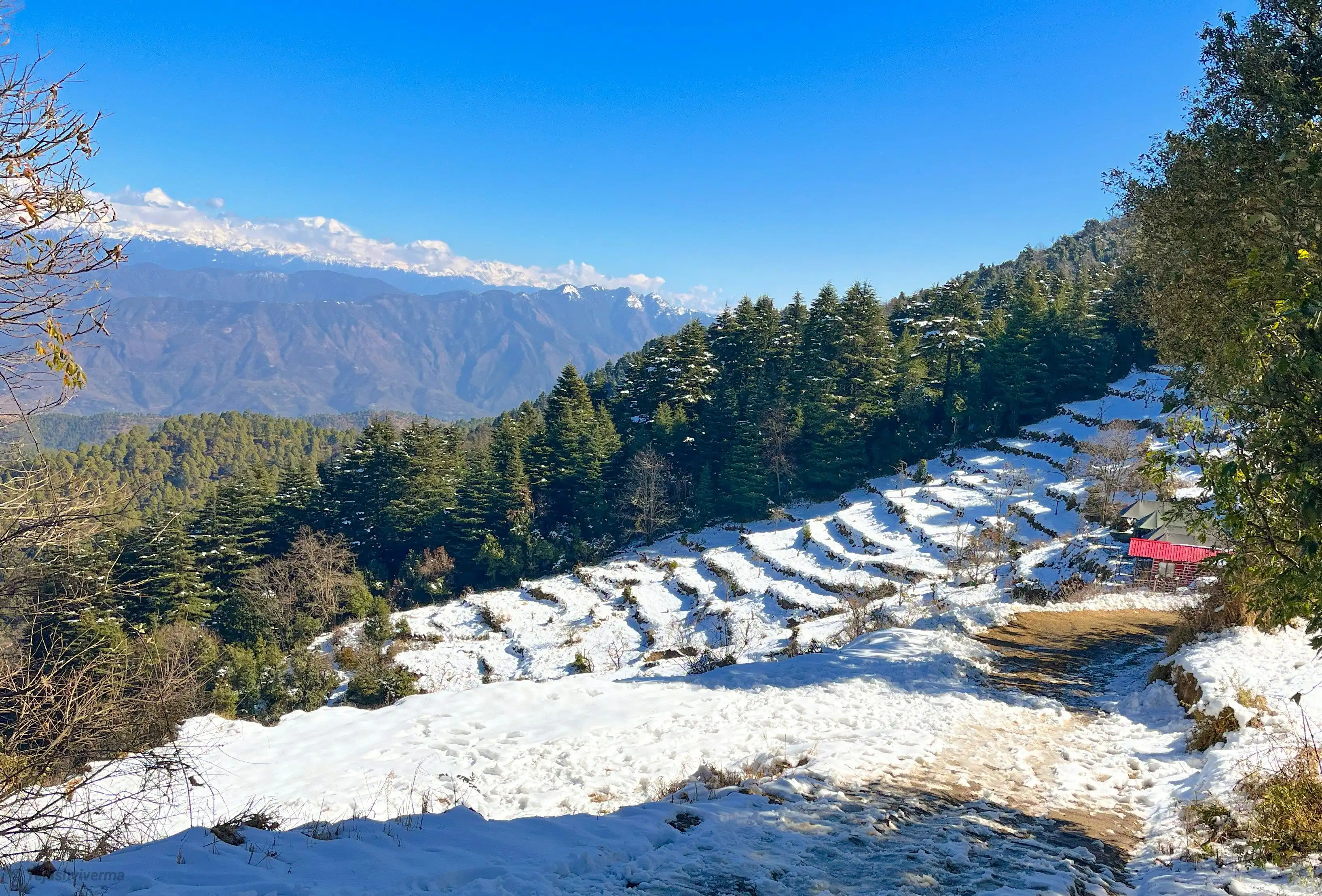 Kanatal Forest Trekking